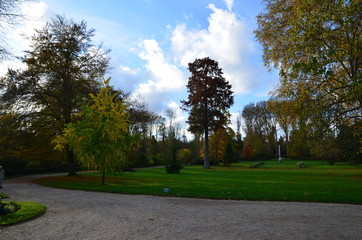 path in the park