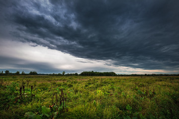 Rainy morning over the flood meadows near the Ob river. Western Siberia