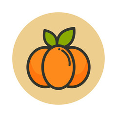 cartoon pumpkin vector image with leaves icon