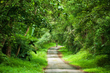 Obraz premium A cyclist man riding on a forest road.