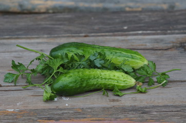fresh cucumbers and parsley on a wooden table
