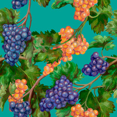 Seamless pattern. Botanical drawings with acrylic paints. Beautiful grape branches. Colorful pink and blue grapes on a turquoise background. Picturesque wallpaper. Vintage style.