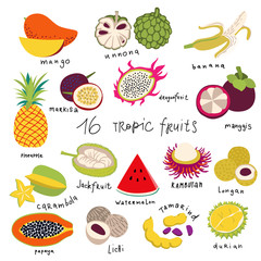 Fresh fruits set Vector Illustration