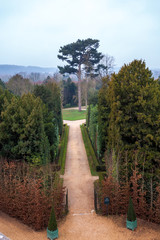 Alley with path line of trees at Versailles garden in winter.