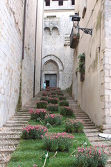 Fototapeta na wymiar Stairs with ornamental flowers in every step