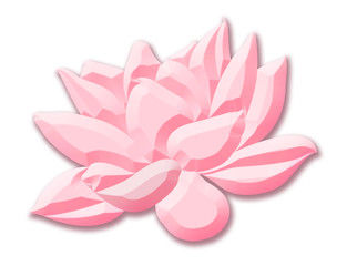 Botany illustration. Pink lotus flower in cartoon style isolated on white background.