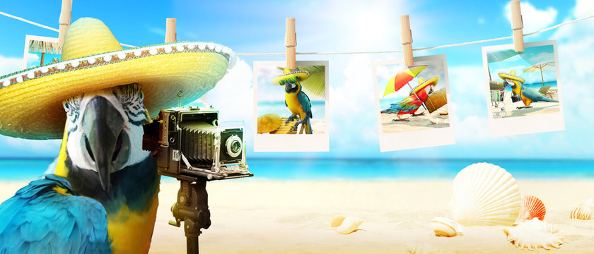 Papagei mit Fotoapparat im Urlaub am Strand