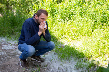 Poplar fluff and allergies.