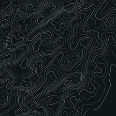 Fototapeta premium Topographic map lines background. Abstract vector illustration. Contour vector map.
