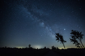 Fototapeta na wymiar Milky Way with trees