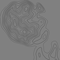 Topographic map lines background. Abstract vector illustration. Contour vector map.