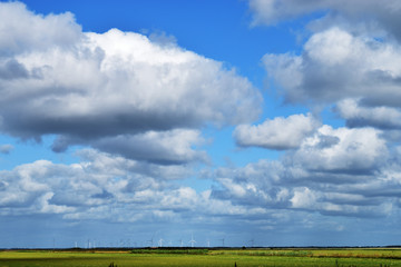 Fototapeta premium green field, wind power and blue sky