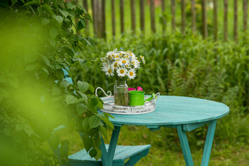 Marguerite flowers bouquet on a garden table