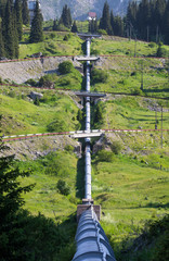 pipeline in mountain forest 