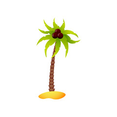 Tropical palm tree with green leaves on sand island