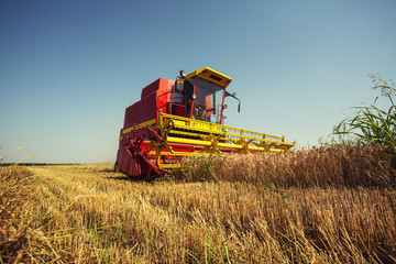 Combine harvester working on a wheat field