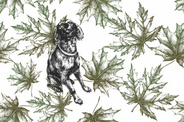 Dog with maple leaves, autumn seamless pattern. Hand-drawn, vector illustration. - 276409001