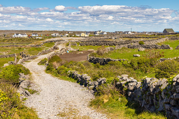 Fototapeta na wymiar Road to the Village and farms in Inishmore
