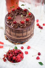 Picnic on nature with a delicious cake and refreshments