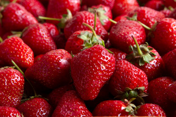Closeup of many ripe fresh strawberries.