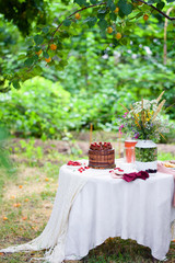 Summer picnic on nature, with a delicious chocolate cake, compote, berries, wild flowers