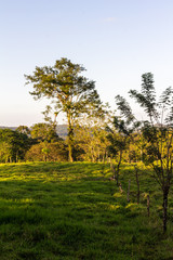 Country Side, Bijagua, Costa Rica.