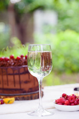 Gourmet picnic lunch in a park spread on a rug around a hamper with wine, cheese, fresh fruit, , bread rolls, cake, pickles and wraps on green spring grass under a tree