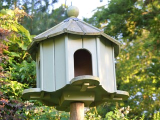 Fototapeta na wymiar Green wooden dovecote in garden with blurred background