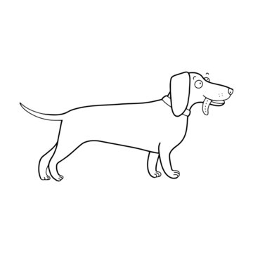 Lovely cute vector dachshund illustration in cartoon style. Black outline drawing perfect for coloring book or page for children or adults.