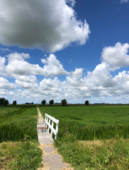 Path through farmland around Boazum