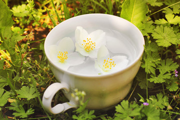Tea from flowers. Flowers in a cup