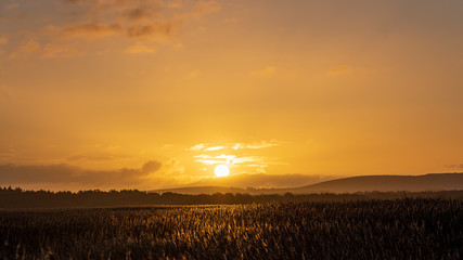 Sunrise over reedbeds  looking towards Poole Harbour from Swineham Point near Wareham, Dorset, on a windy winter day