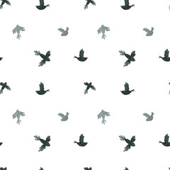 black and gray little birds