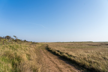 Fototapeta na wymiar Coastal path near Skegess, Lincolnshire, in spring