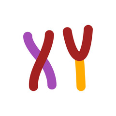 chromosomes flat vector icon
