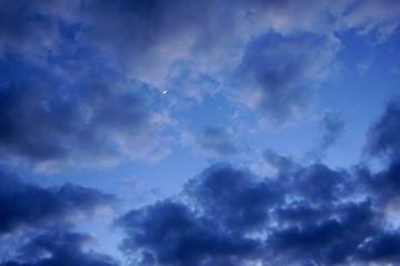 sub tropical sky back ground