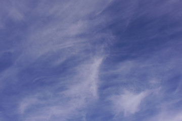 sub tropical sky back ground