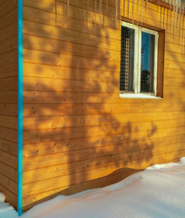 natural street art on a wooden house