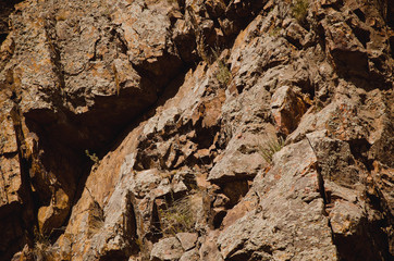 faces on the rock