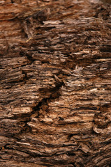 Verwittertes Holz
