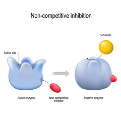 enzyme. Non-competitive inhibition. inhibitor is a molecule - obrazy, fototapety, plakaty
