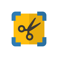 screenshot flat vector icon