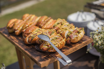 Hot Dogs with meat sausage, red pickled cucumbers sauce, mayonnaise and mustard on wooden surface against the background of green grass.