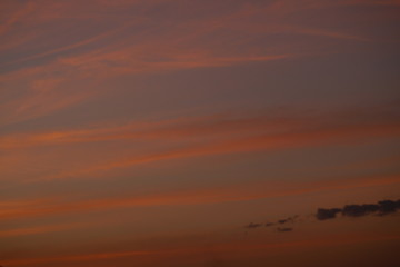 sub tropical skies background