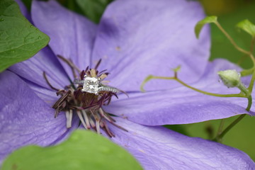 Engagement Ring in Purple Flower