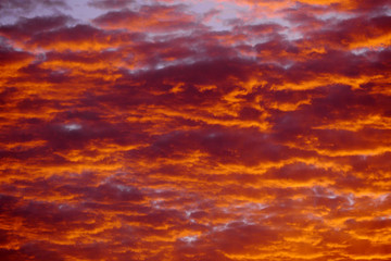 sub tropical skies background