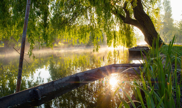 Marshes of Bourges in the mist