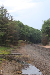 road in the forest