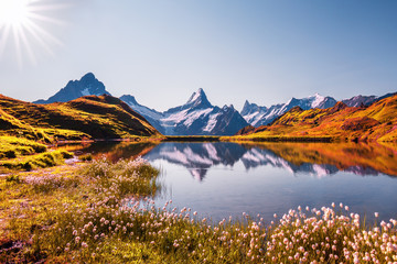 Sunrise view on Bernese range above Bachalpsee lake. Highest peaks Eiger, Jungfrau and Faulhorn in...