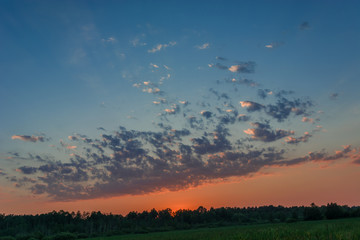 Cloud in the sky during sunset